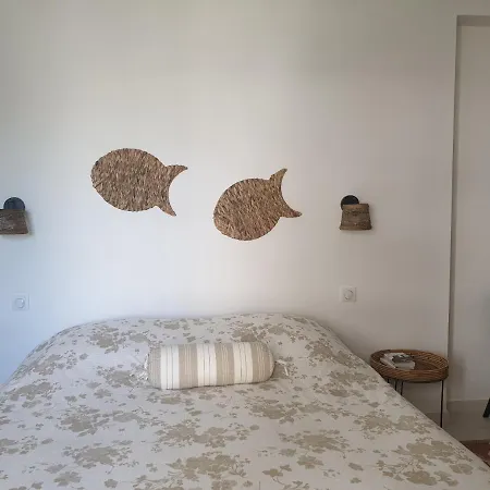Apartment Le Piree T2 Palm Beach Place De L Etang
