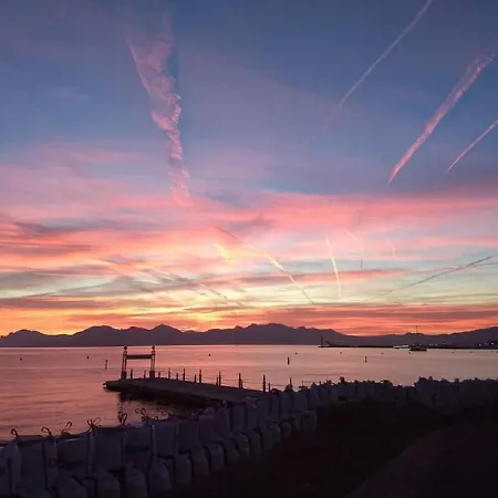 Le Piree T2 Palm Beach Place De L Etang * Cannes